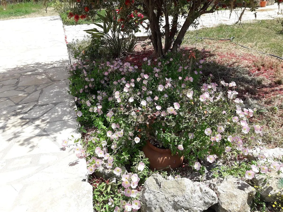 Apartment Ammodares Lixouri Greece